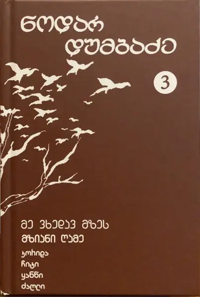 მე ვხედავ მზეს, მზიანი ღამე