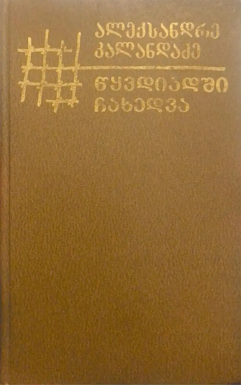 წყვდიადში ჩახედვა