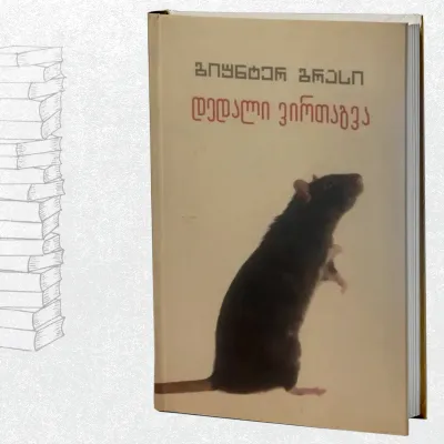 დედალი ვირთაგვა