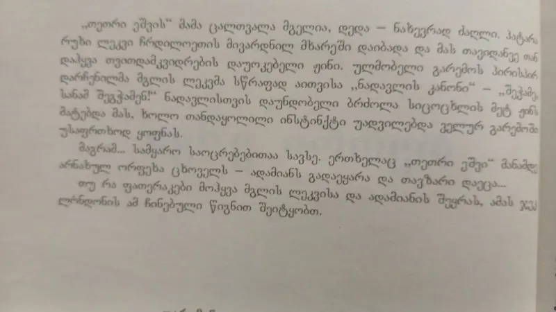 Additional Photo