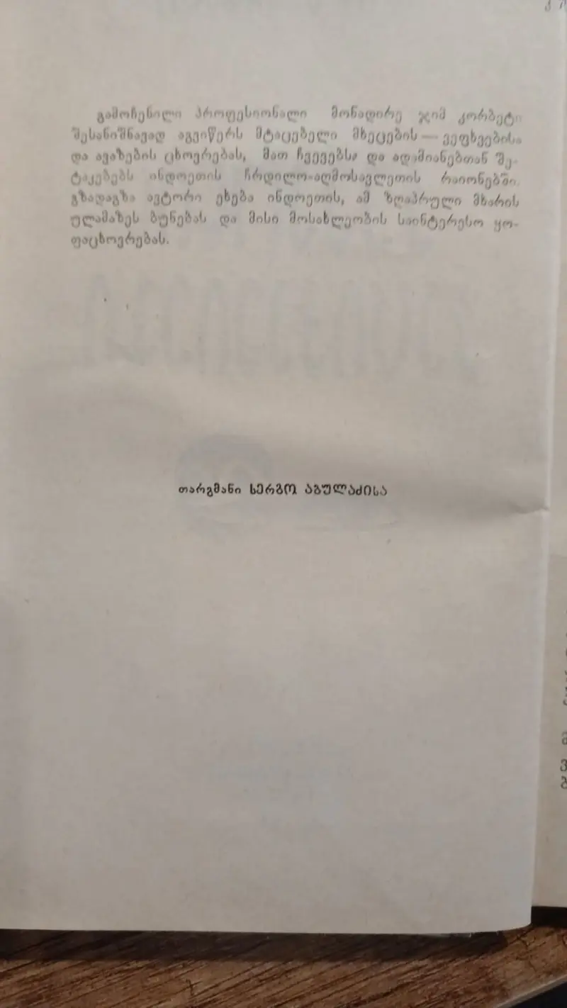 Additional Photo