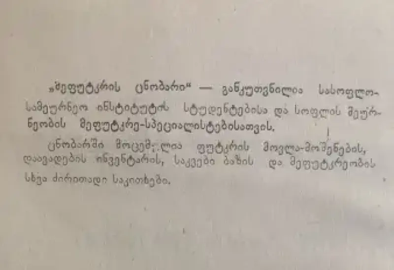 Additional Photo 2