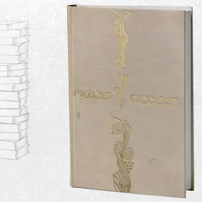 გულის მეორე მხარე