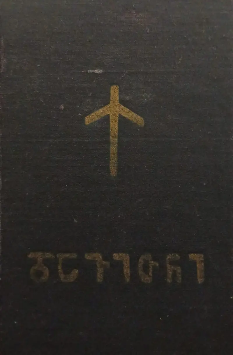 დავითნი
